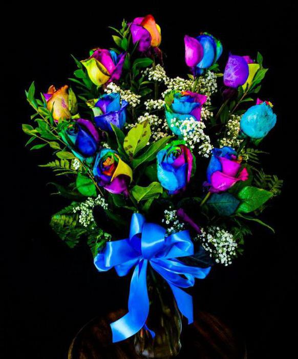 regenboog rozen