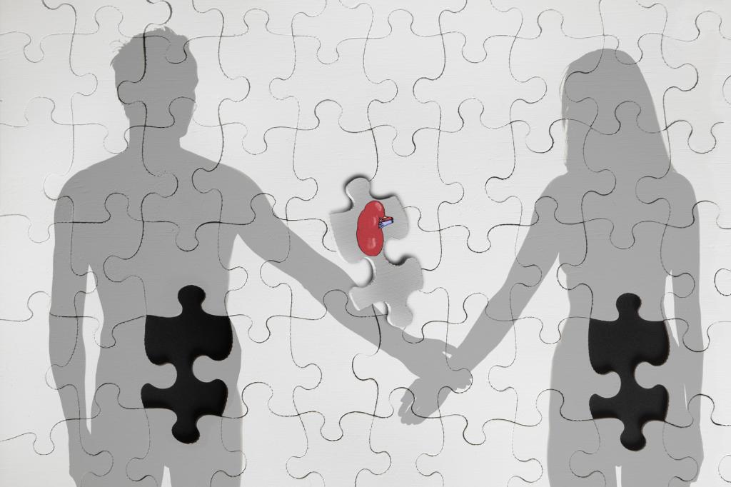 puzzle darowizny