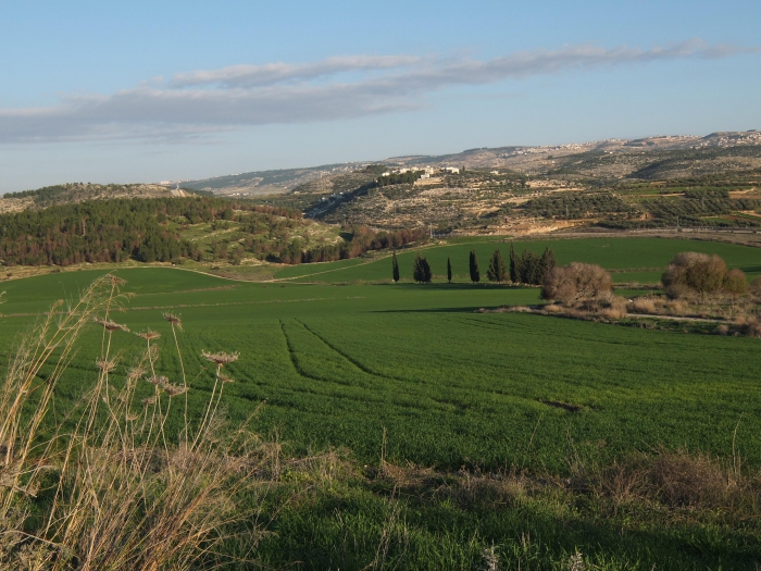 procedura spadkowa