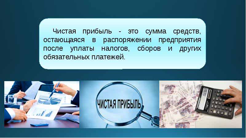 Zysk netto