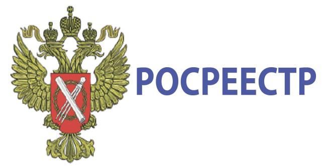 wyciąg ze szczegółowych informacji o stanie cła EGRP