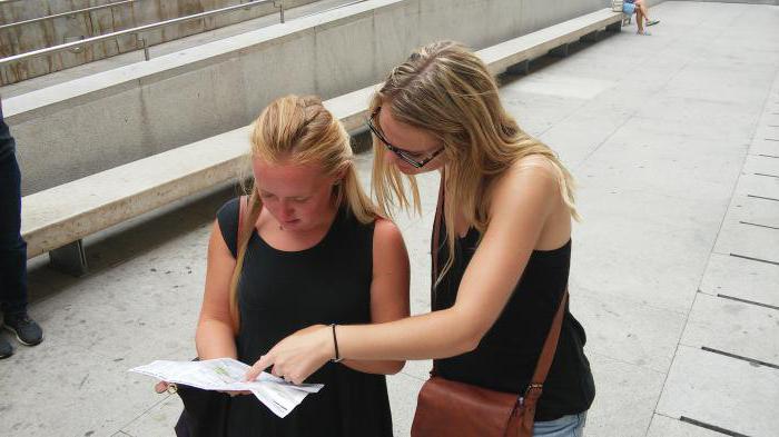 cechy studenta z miejsca praktyki