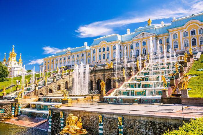 dynamika populacji w Petersburgu
