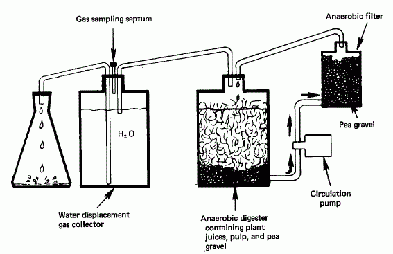 alcohol plant