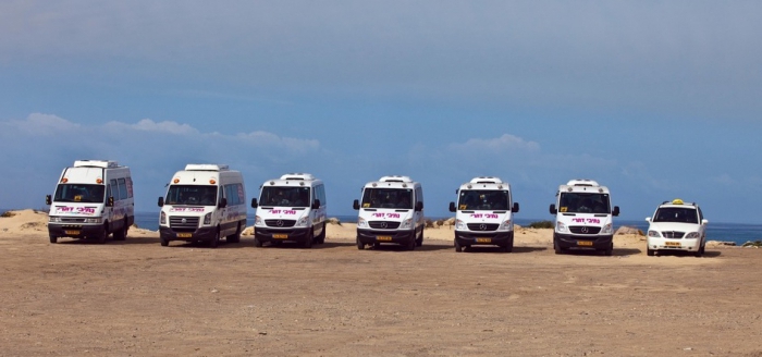 minibus taxi