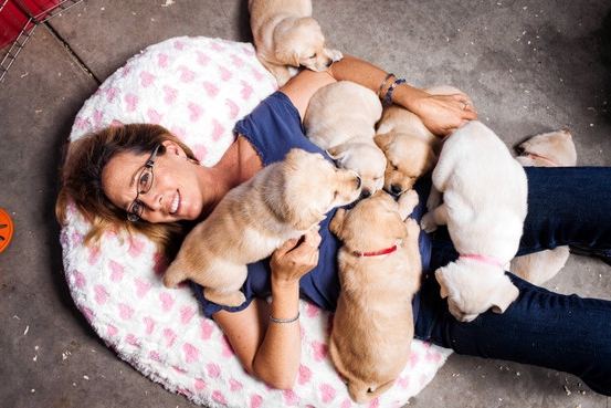 hoe een hondenkennel te krijgen