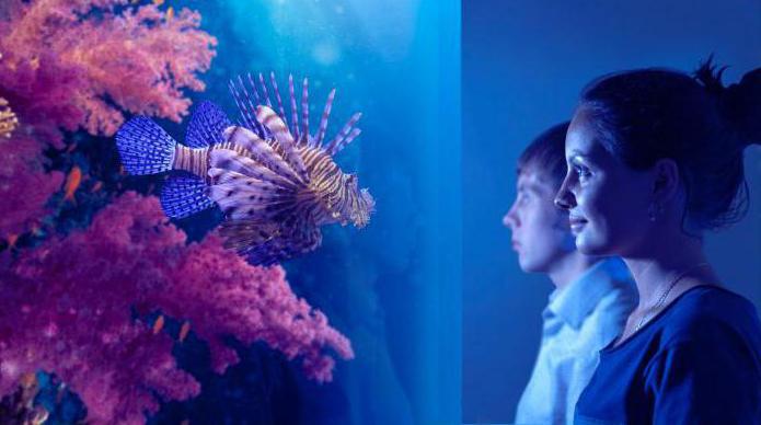 het grootste aquarium in Moskou