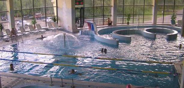 Het grootste waterpark in Moskou, Moron