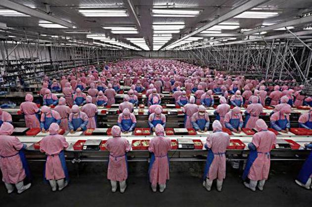 postindustriële samenleving concept