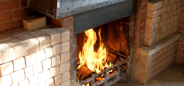 bedrijfsplan productie brandstofbriketten