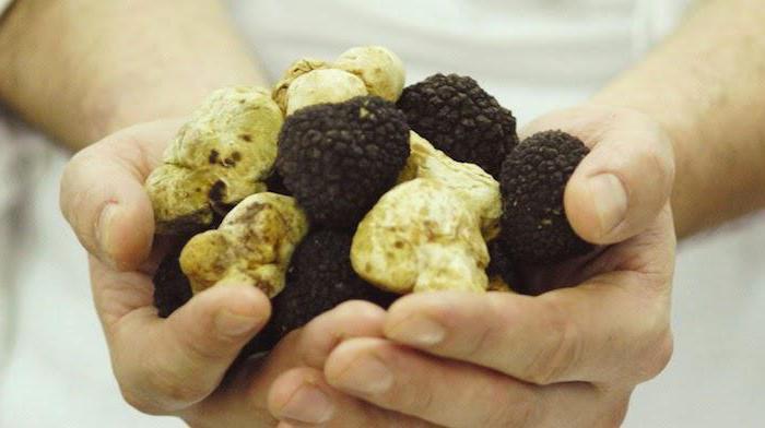 de duurste champignons
