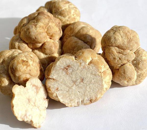 de duurste champignons op de wereldlijst