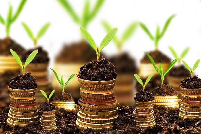 netto-investering is