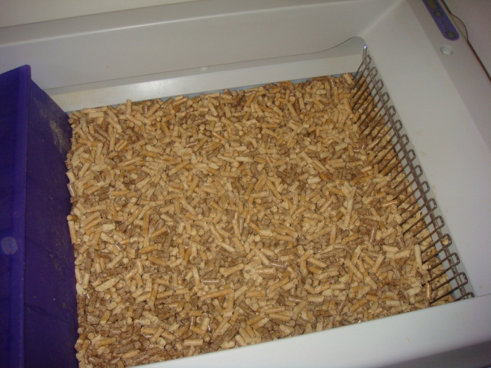 kattenbakvulling productie