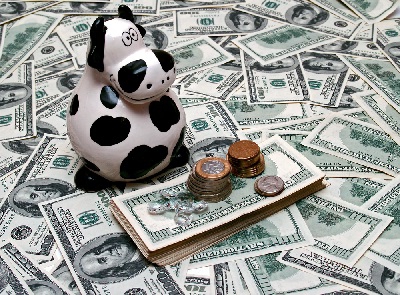 biznesplan organizacji mikrofinansowania