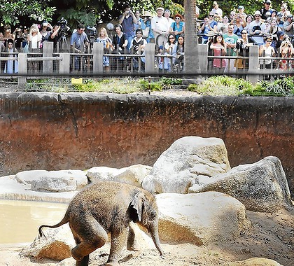 jak otworzyć zoo kontaktowe