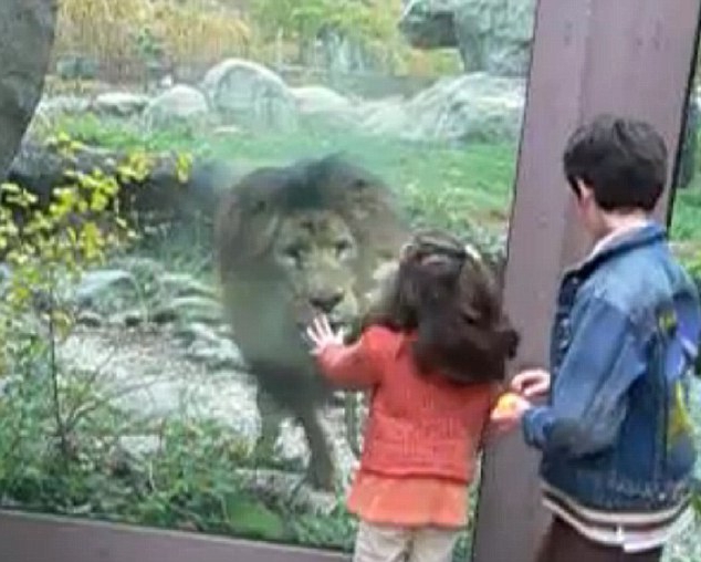 umowa mini zoo