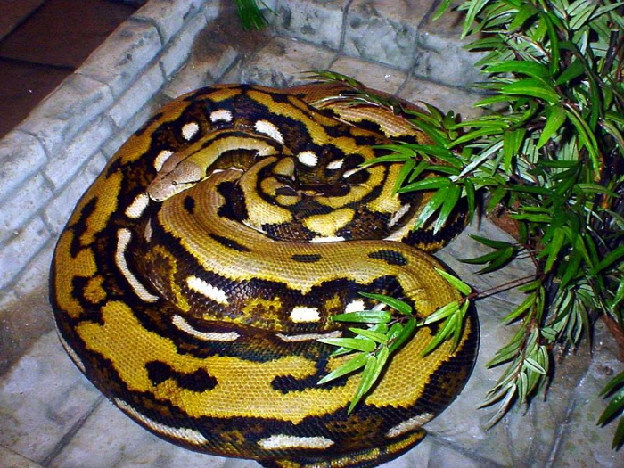 biznesplan zoo