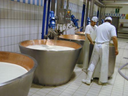 kaasvereisten voor melk