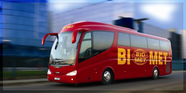 transport pasażerski jako firma