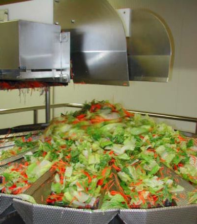 Saladeproducenten in Moskou