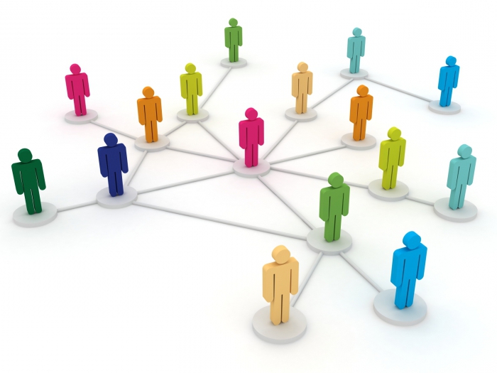 organisatiestructuur van management