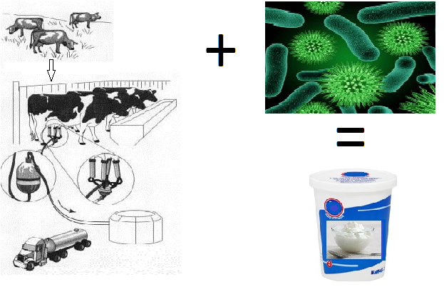 surowce używane do produkcji śmietany