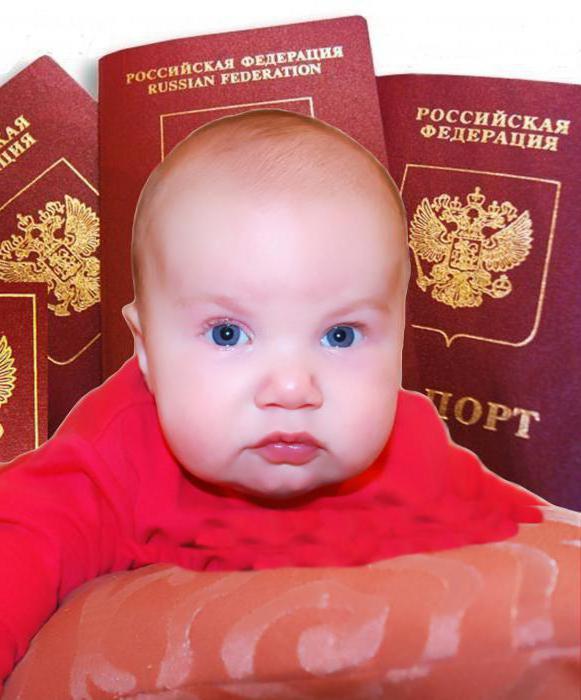 jak długo trwa paszport