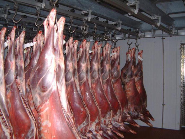 producten voor het invriezen van schokken