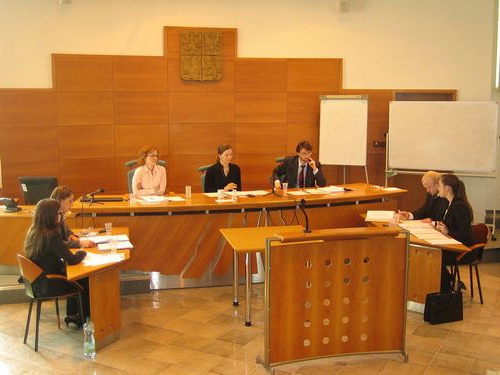 rodzaje podmiotów konstytucyjnych stosunków prawnych