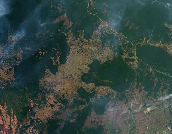 rodzaje państwowego monitorowania gruntów