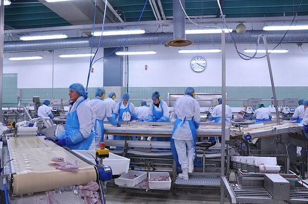 arbeidshygiëne en -hygiëne