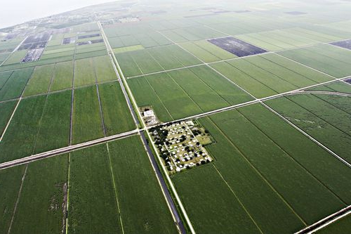 dzierżawa gruntów z opcją zakupu