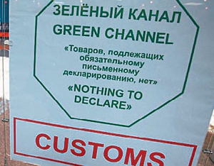 system celny