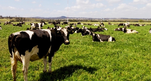 hoe wordt de aankoop van grond gemaakt