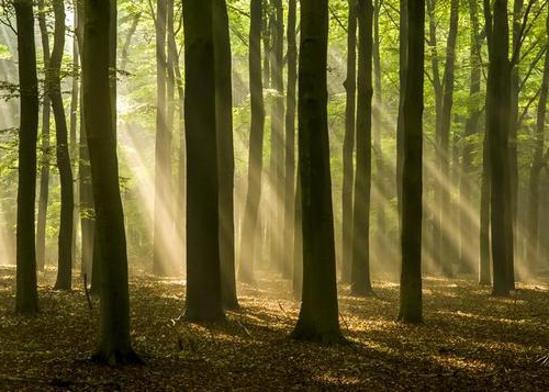 obiekt naturalny i zasoby naturalne