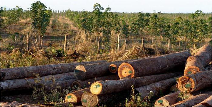 natuurlijke economische middelen