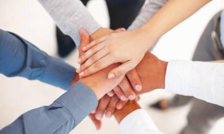 lineair functionele managementstructuur
