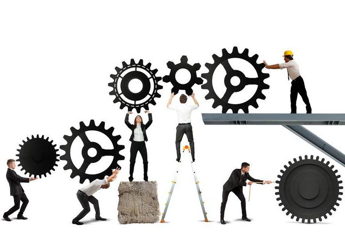 synergiczny efekt organizacji