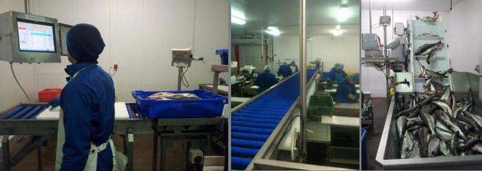 hygiënisch certificaat voor producten