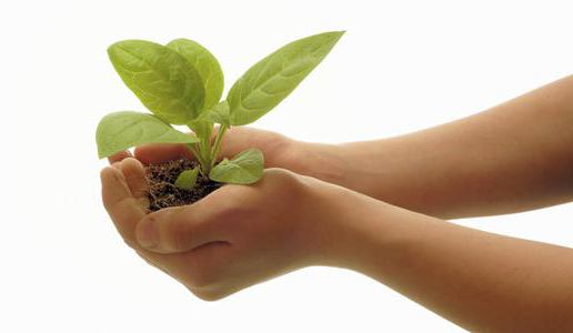 milieueffectrapportage bouwproject