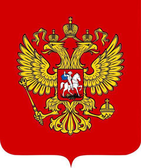 władza wykonawcza federacji rosyjskiej