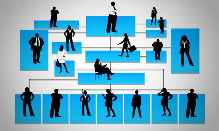 positie op de structurele eenheid van de organisatie
