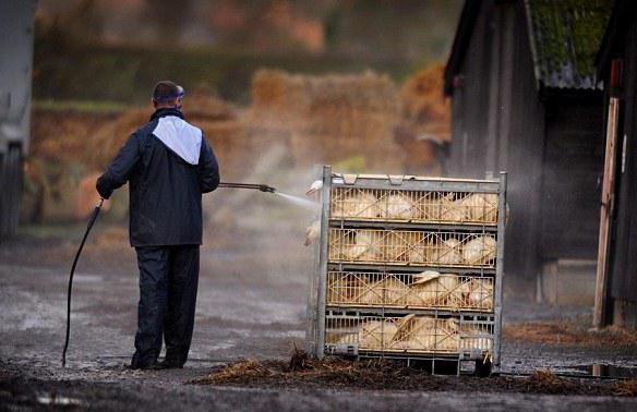 od wielkości strefy ochrony sanitarnej przedsiębiorstwa zależy