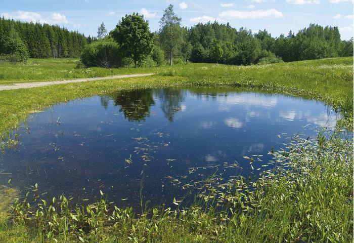 zbiorniki wodne