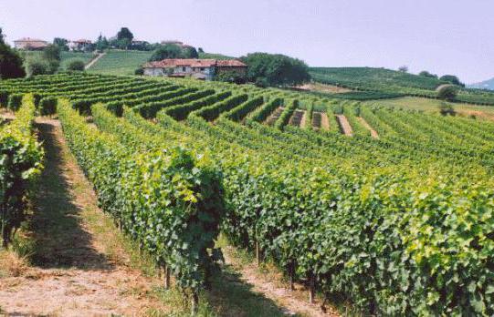  landbouwgrond