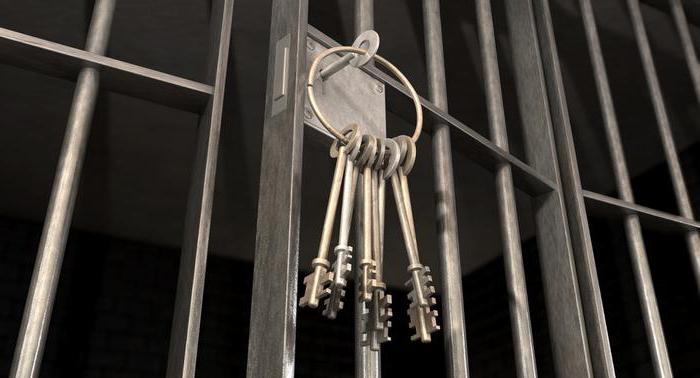 strafrechtelijke clemency instelling