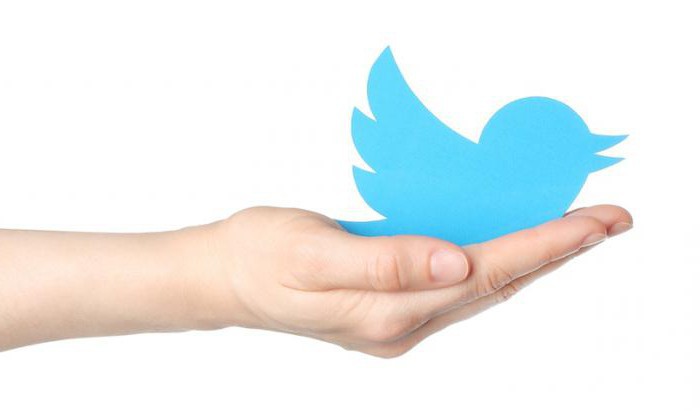 dlaczego potrzebujesz Twittera i jak go używać