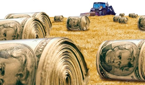 Forex handelaren