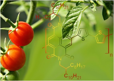 productie van natuurlijke producten